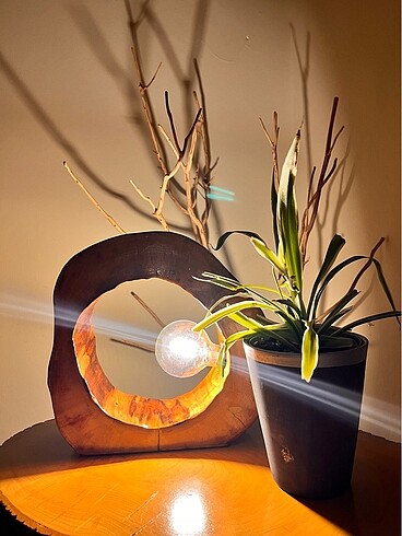 Zara home