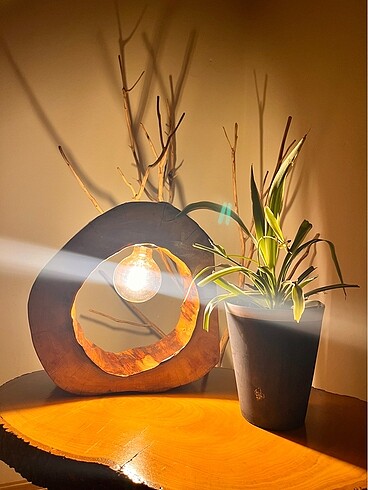 Diğer Zara home
