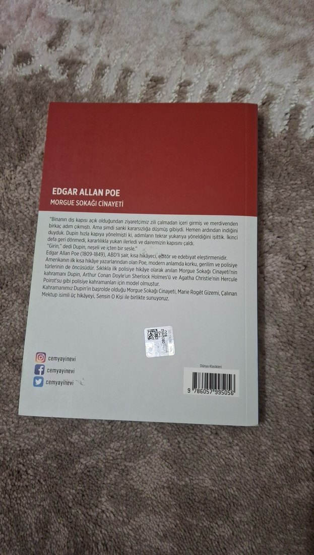 Edgar Allan Poe - Morgue Sokağı Cinayeti - Görsel 2