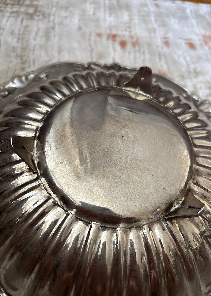 Alman gümüşü meyvelik - Görsel 4