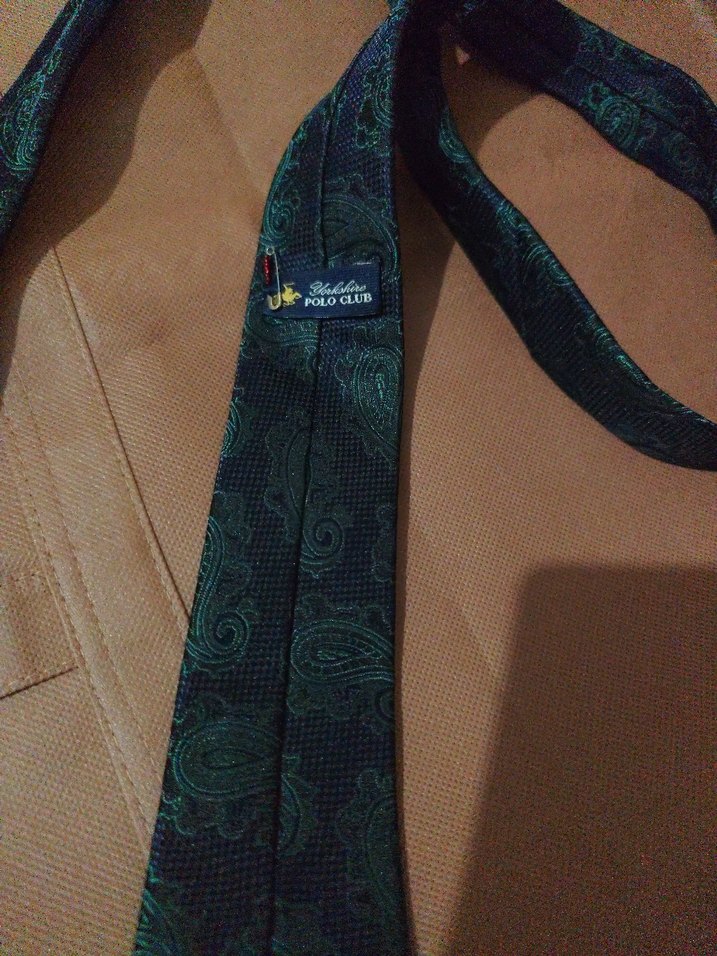 us Polo Çok Renkli İş Kravatı - Görsel 2