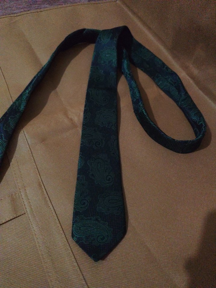 us Polo Çok Renkli İş Kravatı - Görsel 5