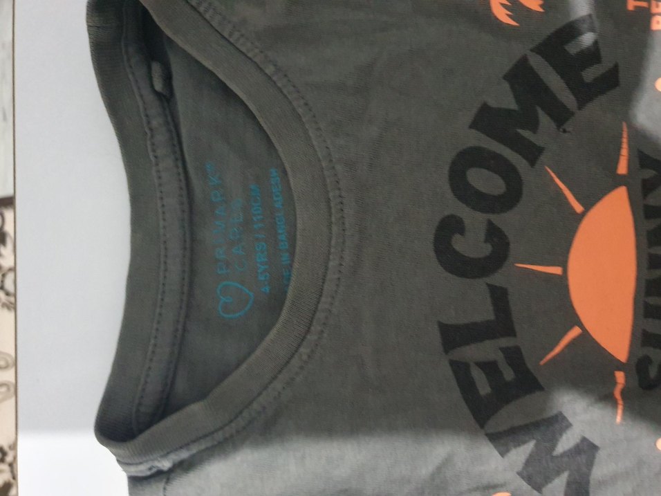 Erkek Gri Baskılı Kısa Kollu Tişört - Görsel 2