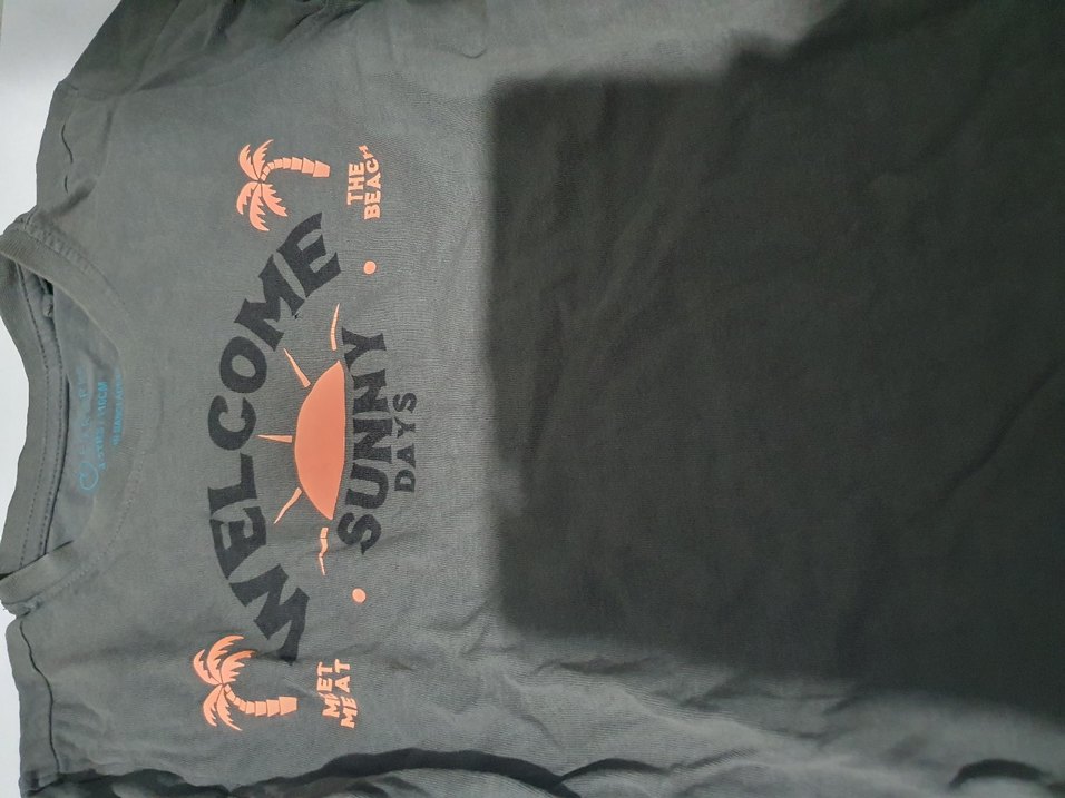 Erkek Gri Baskılı Kısa Kollu Tişört - Görsel 3