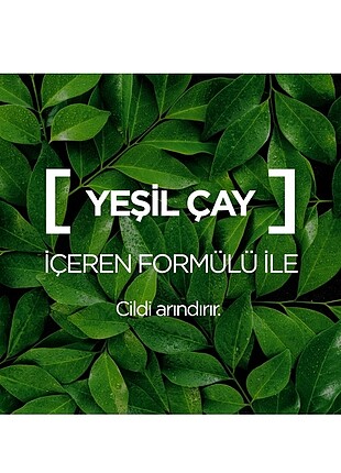  Beden Renk Garnier botanik krem