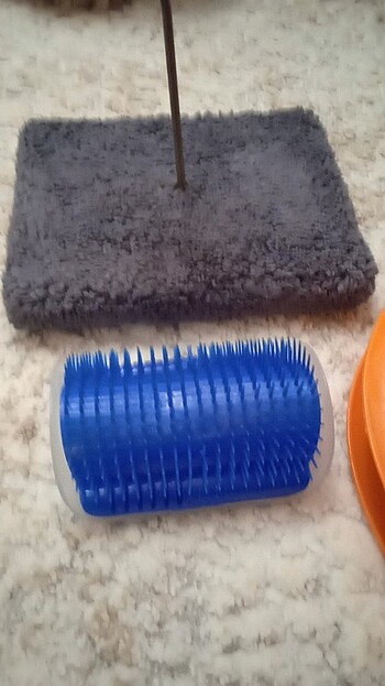 Beden Kedi oyuncağı