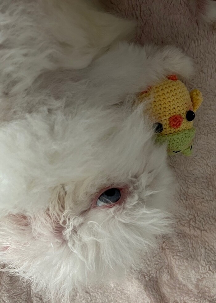 Cikcik anahtarlık - Görsel 3