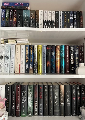 kitap serisi