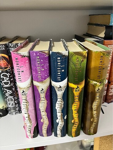  Beden Yeşilin Kızı anne Ciltli 5 kitap