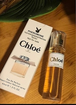 Chloe tester bayan parfumu 