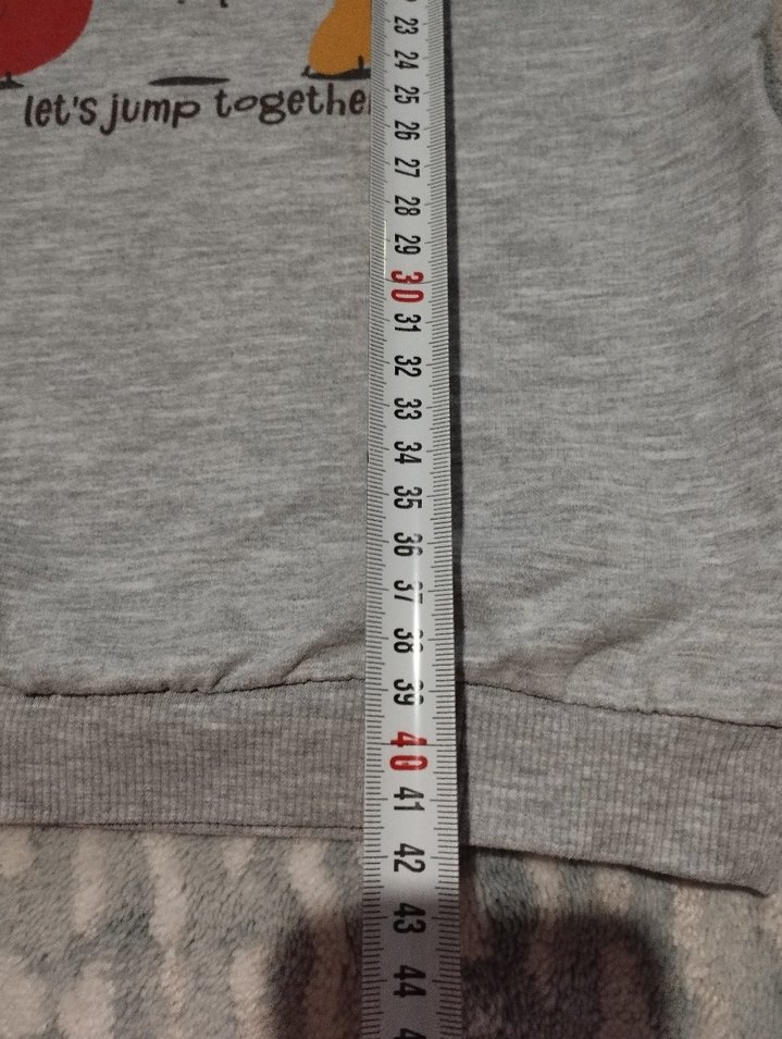 Gri Baskılı Erkek Sweatshirt - Görsel 4