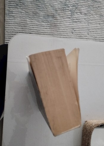 Taht Oyunları - George R.R. Martin - Görsel 6