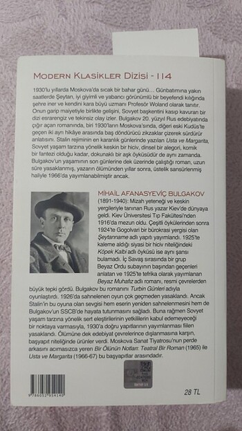Usta ve margarita kitap