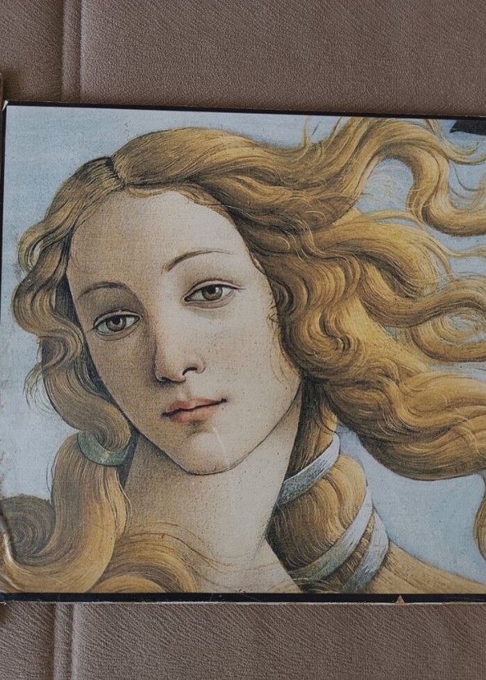 venusun dogusu ve inci kupeli kiz  - Görsel 3