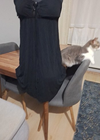 Siyah Drapeli Gotik Kedi Kıyafeti - Görsel 5