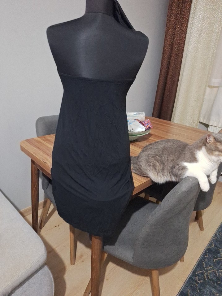 Siyah Drapeli Gotik Kedi Kıyafeti - Görsel 3