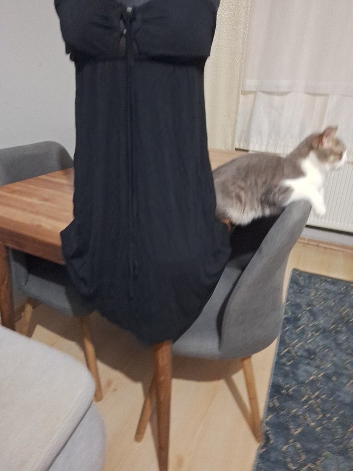 Siyah Drapeli Gotik Kedi Kıyafeti - Görsel 5