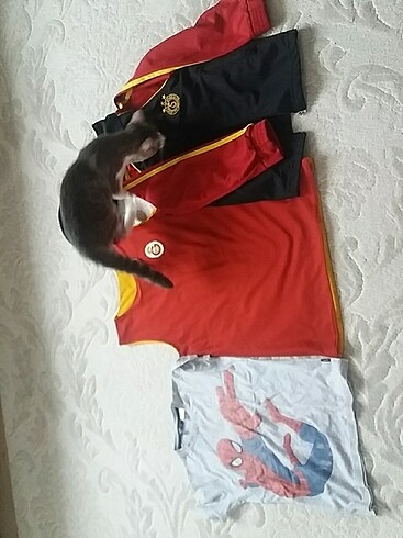 Galatasaray 5.6 yaş erkek çocuk lisanslı forma