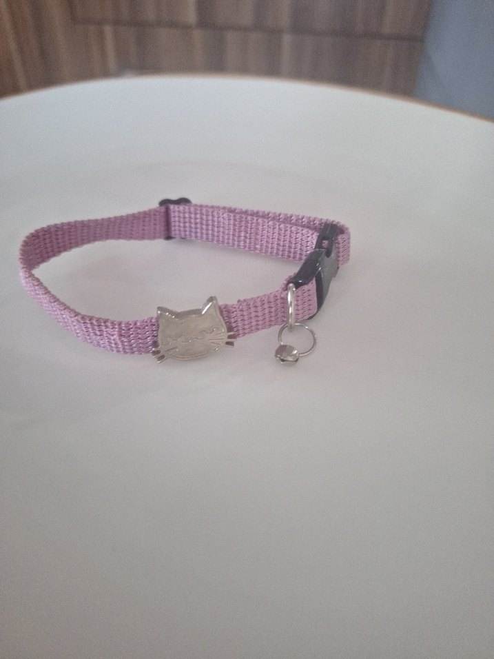 Pastel Mor Kedi Tasması - Görsel 3