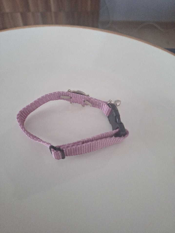 Pastel Mor Kedi Tasması - Görsel 4