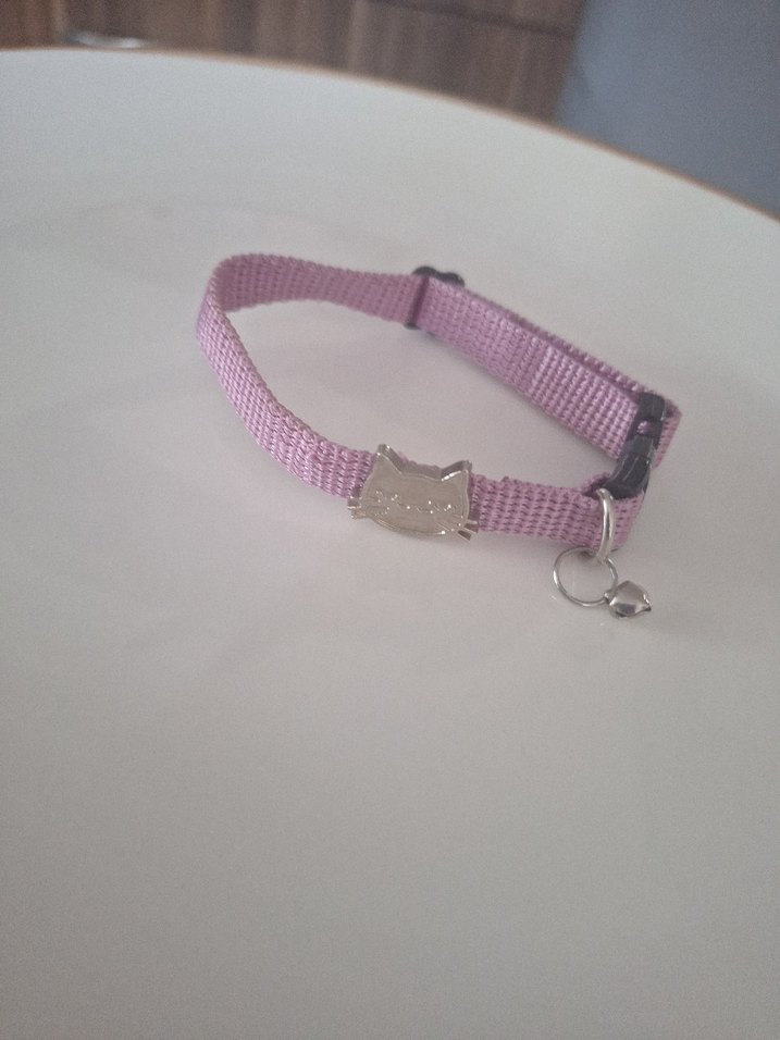 Pastel Mor Kedi Tasması - Görsel 5