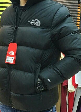 The North Face