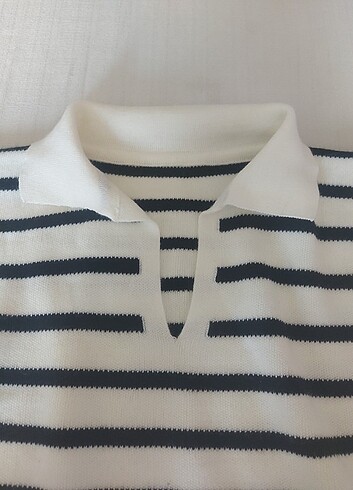 Polo Yakalı