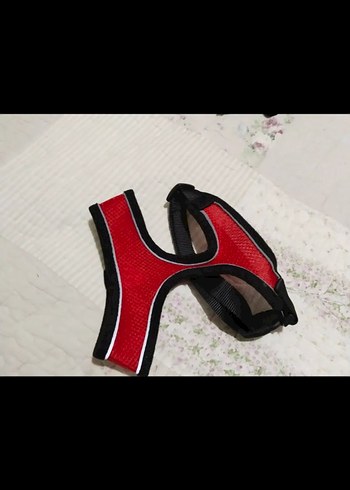 Beyaz Zebra Desenli Kürklü Köpek Kıyafeti - Görsel 9