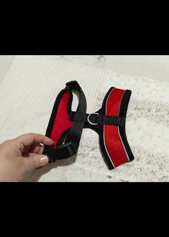 Beyaz Zebra Desenli Kürklü Köpek Kıyafeti - Görsel 3