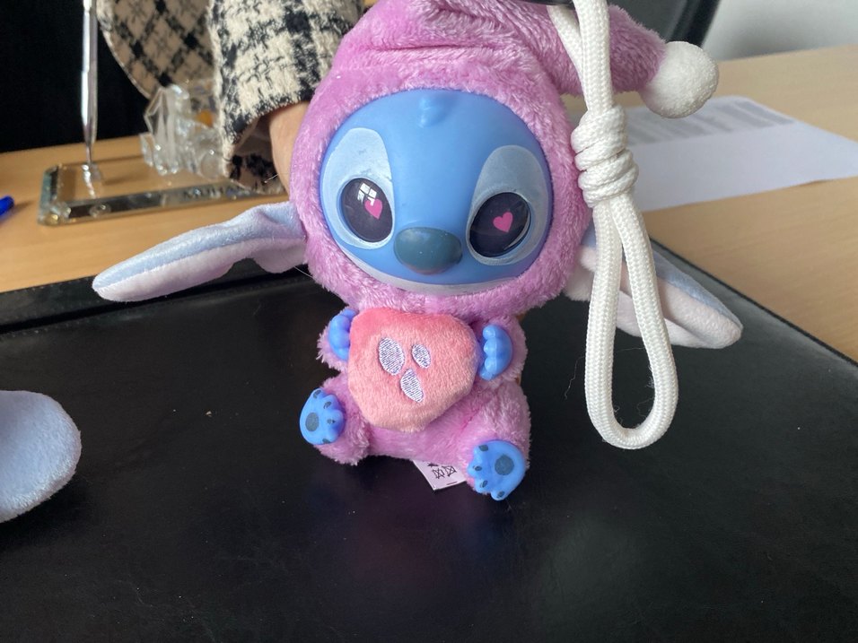 Renkli Peluş Oyuncak Anahtarlık Seti 2 adet - Görsel 4