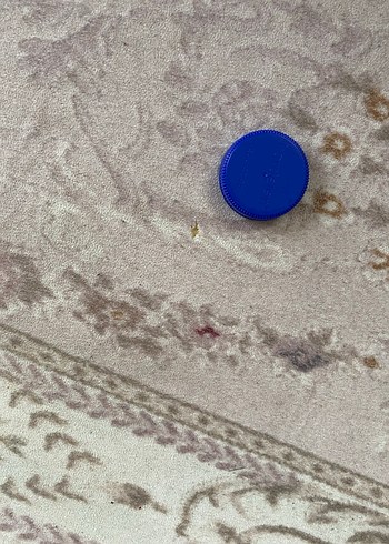 Bej Pastel Tonlarda takım halı - Görsel 6