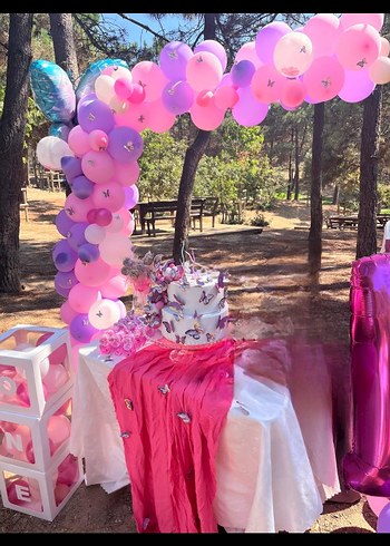 Pastel Pembe Parti Balon Süslemeleri