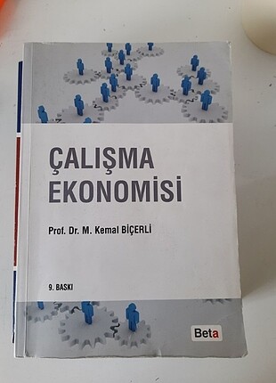 Çalışma ekonomisi Kemal Bicerli 