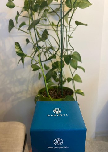 Klasik Turkuaz Kadın - Erkek Saat - Görsel 2