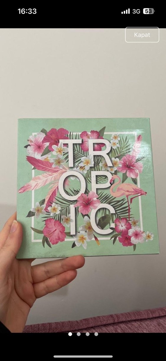 Pastel Pembe Tropikal Göz Farı Paleti - Görsel 3