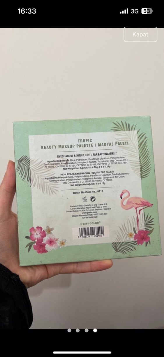 Pastel Pembe Tropikal Göz Farı Paleti - Görsel 2