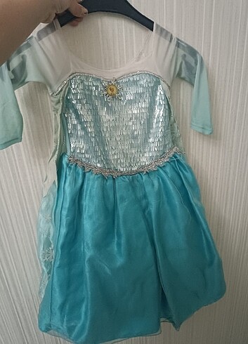 Walt Disney World Elsa kostümü