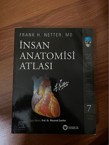 netter anatomi atlası