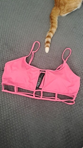 Bikini ustu
