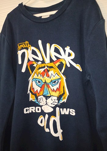 Erkek Çocuk Renkli Baskılı Sweatshirt - Görsel 4