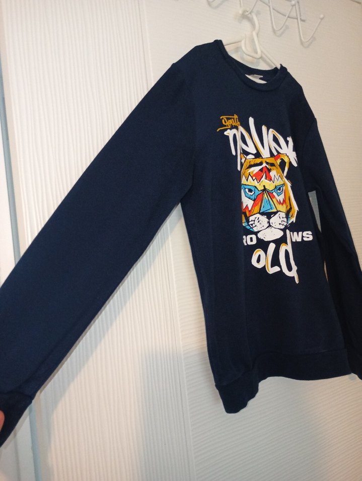 Erkek Çocuk Renkli Baskılı Sweatshirt - Görsel 2