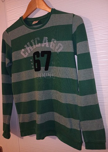 Yeşil Gri Çizgili Erkek Sweatshirt - Görsel 4