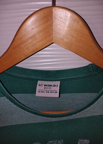 Yeşil Gri Çizgili Erkek Sweatshirt - Görsel 3