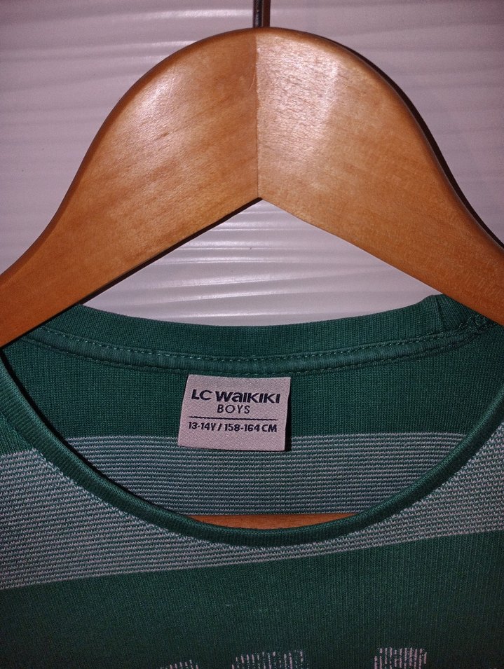 Yeşil Gri Çizgili Erkek Sweatshirt - Görsel 3