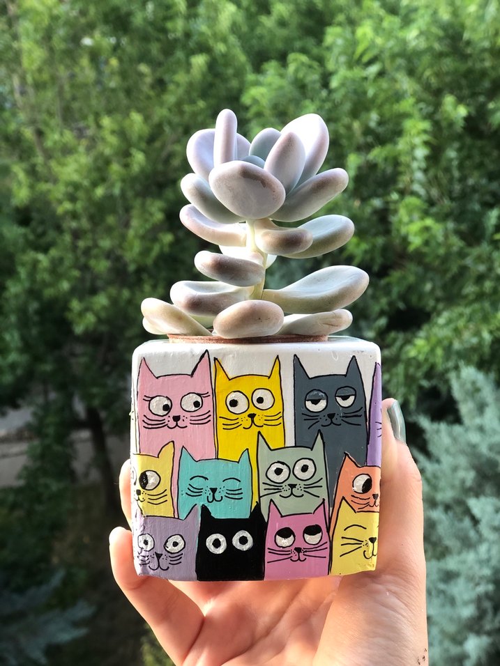 Pastel Renkli Kedi Desenli Saksı - Görsel 2