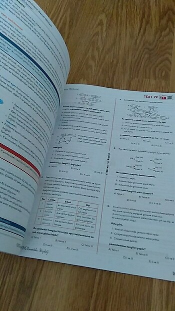  Beden Renk #tyt #ayt #biyoloji #fundamentals