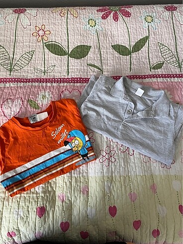 5 Yaş Beden çeşitli Renk 2 li tshirt erkek çocuk