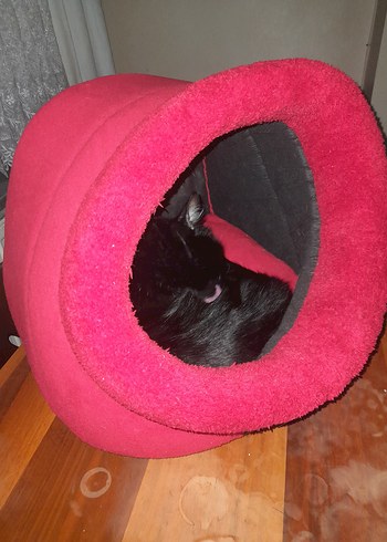 Koyu Kırmızı Kedi Yuva Evi - Görsel 2