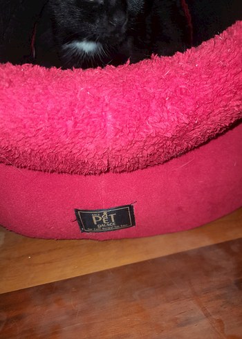 Koyu Kırmızı Kedi Yuva Evi - Görsel 5