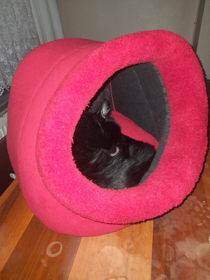 Koyu Kırmızı Kedi Yuva Evi - Görsel 2